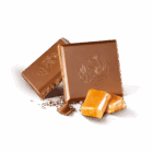 2602-2557_2022-08-08