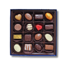 Zanzibar-Yellow-Open