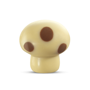 4003210-Mushroom-salted-caramel-white-2-min-300x300 4003210-Mushroom-salted-caramel-white-2-min-300x300