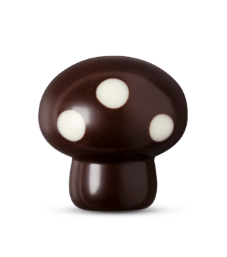 Mushroom Chocolate Mousse