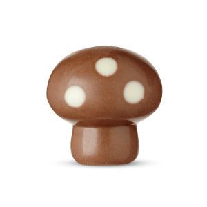 4003517-Mushroom-caramel-hazelnuts-milk-2-min-300x300 4003517-Mushroom-caramel-hazelnuts-milk-2-min-300x300